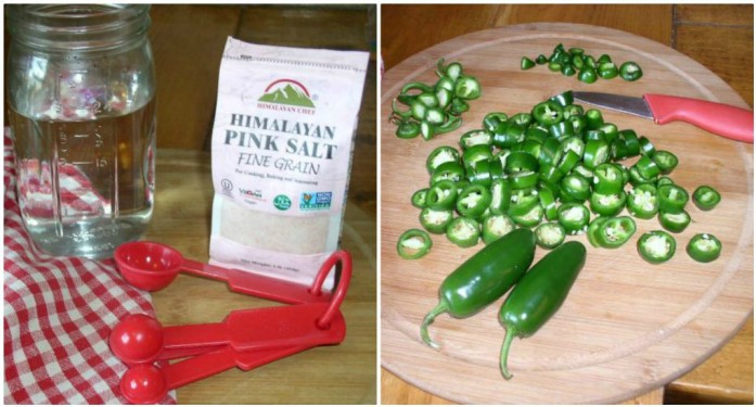 Fermented Jalapeno Peppers Ingredients