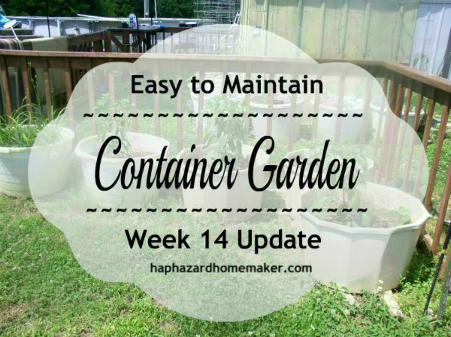 Container Garden Week 14 Cover